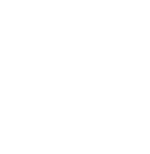 Springboard for Success: Lifecycle Series Springboard for Success: Lifecycle Series